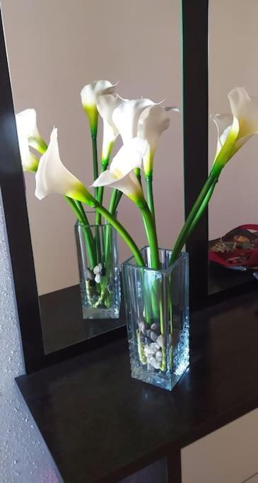 Appartement Casa Chus Foz