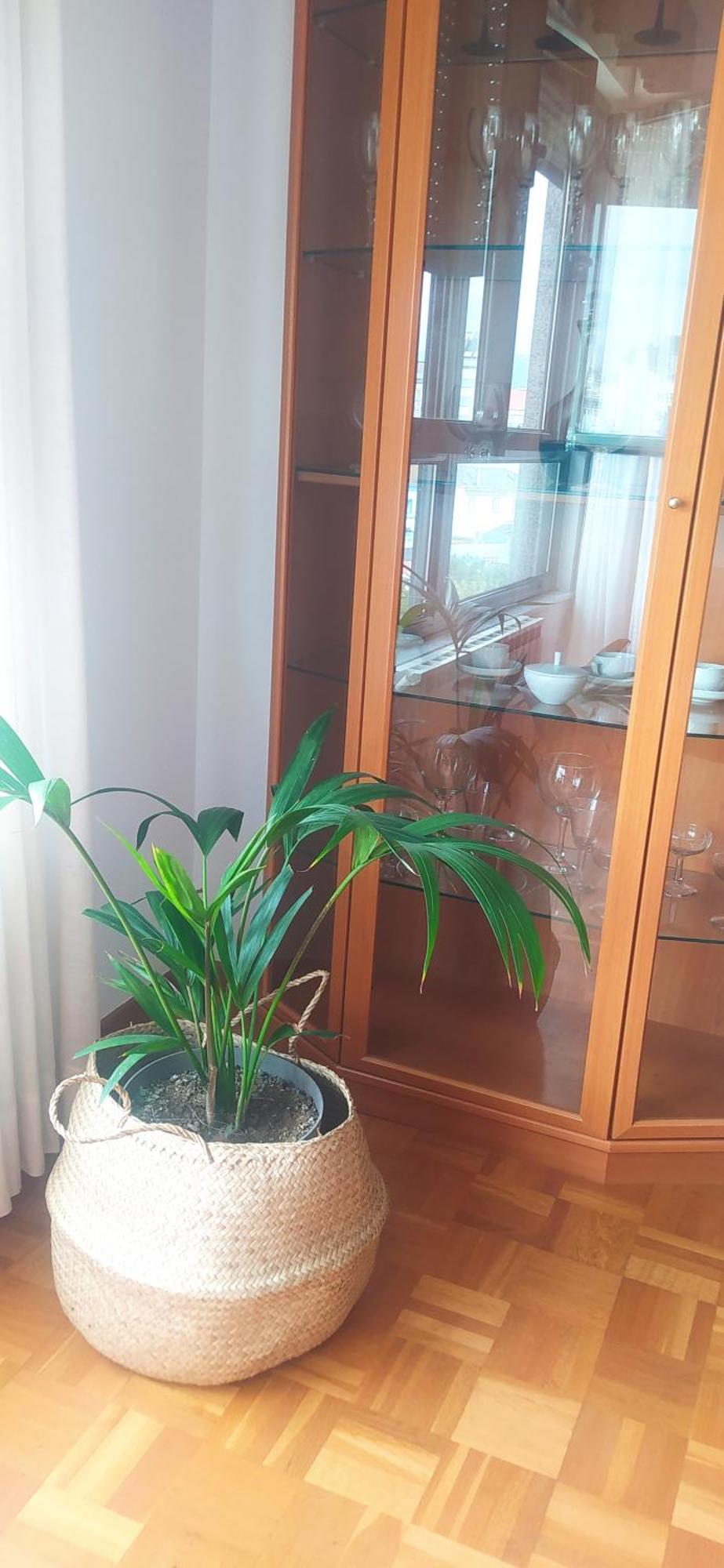 Casa Chus Foz